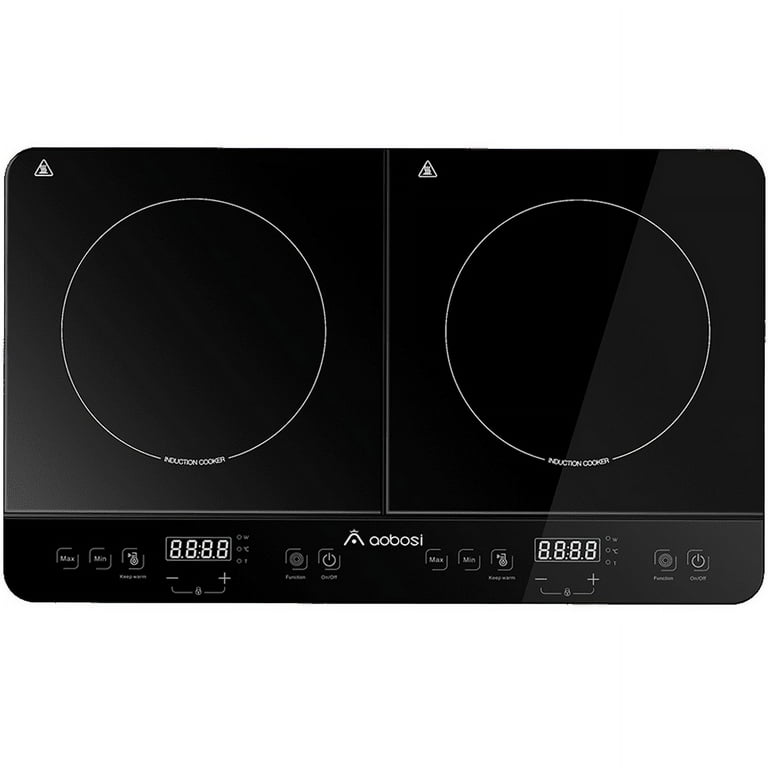 Electric 2024 induction price