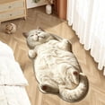 thumbnail image 6 of Zynviq Cat Area Rugs 15.7" X 47.3" Throw Rug Animals Flock Novelty Washable Multicolor Small Rug for Coffee Table, 6 of 9