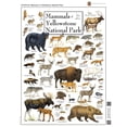 thumbnail image 5 of MasterPieces 1000 Piece Puzzle - Mammals of Yellowstone - 19.25"x26.75", 5 of 6