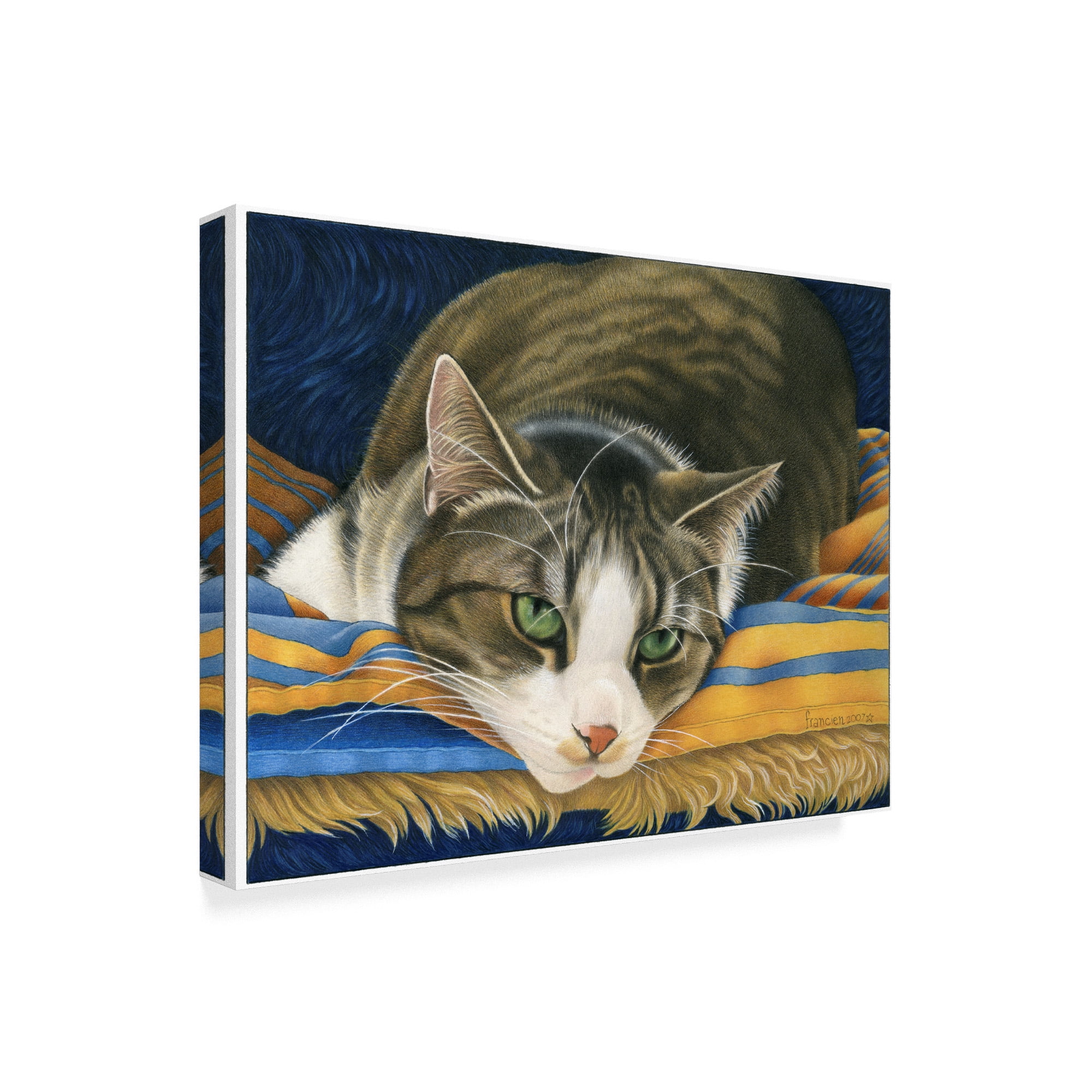 Trademark Fine Art 'A Gray Cat On Blanket' Canvas Art by Francien Van Westering
