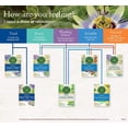 thumbnail image 2 of Té de hierbas Traditional Medicinals Nighty Night, 16 bolsas, 2 of 6