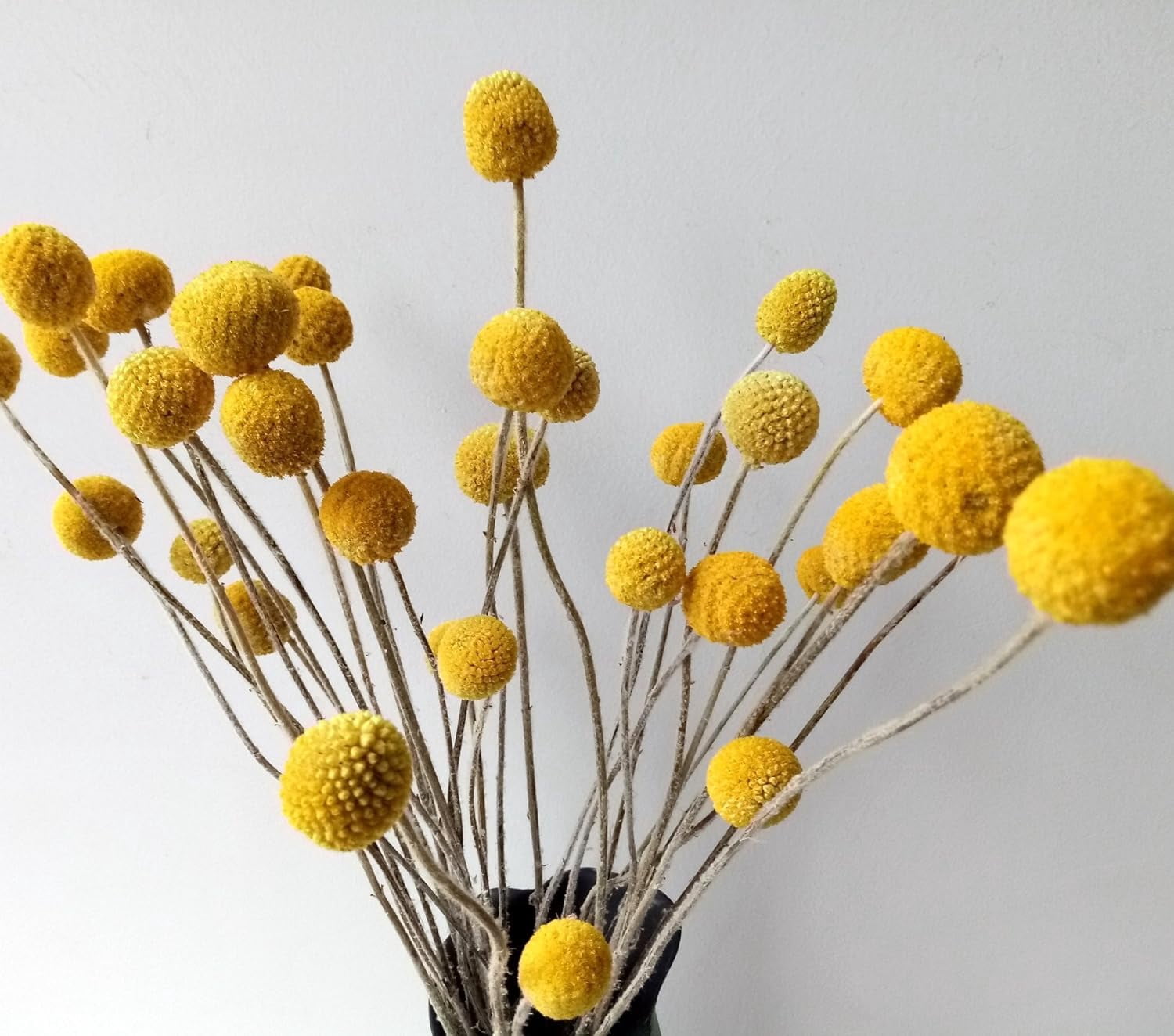 60Pcs Natural Craspedia Globosa Flowers Billy Balls Boho Flower Bouquet Floral Arrangements for Wedding Home Party Office Decor (Yellow)
