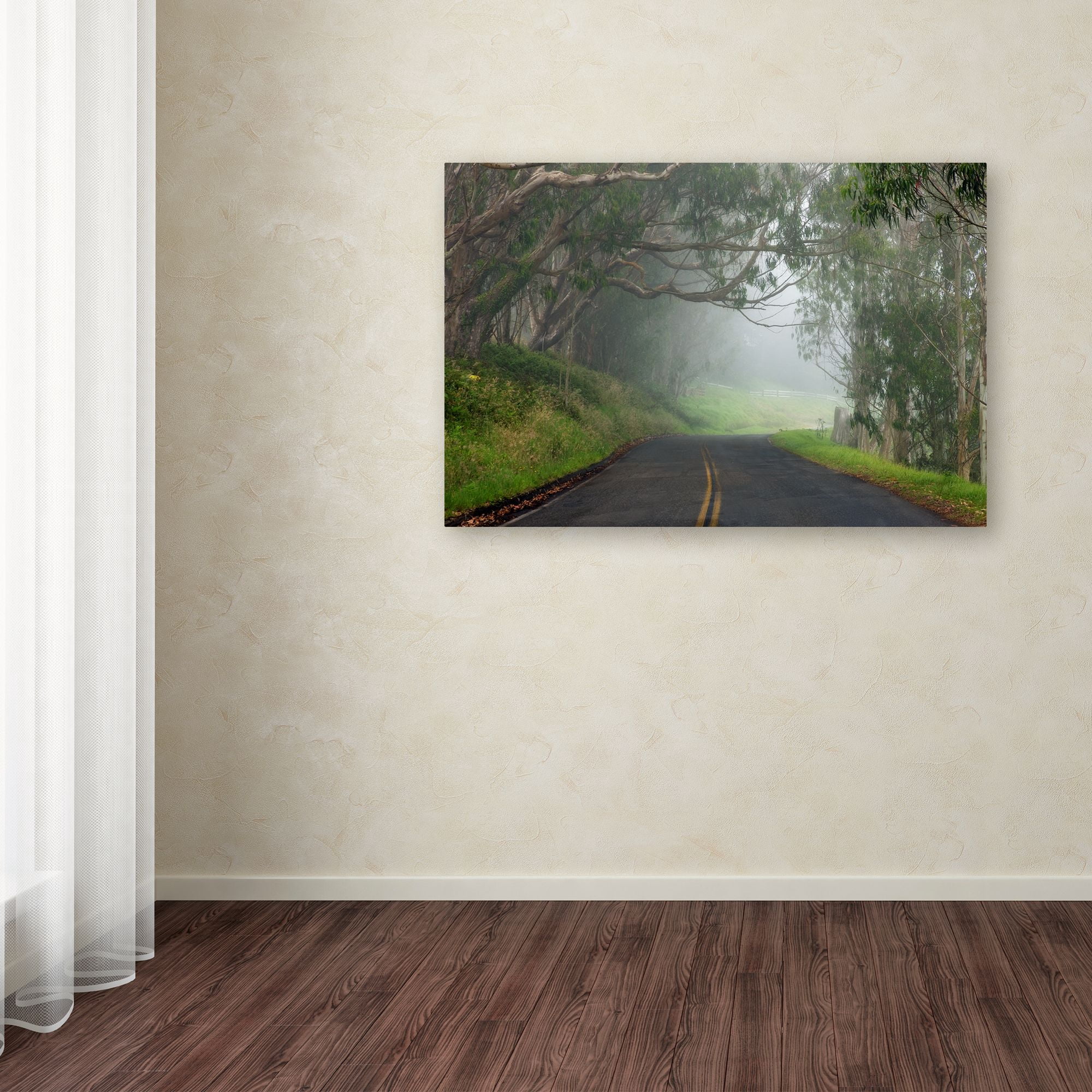 Trademark Fine Art 'Foggy Road near Dillon Beach' Canvas Art by Mike Jones Photo