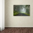 thumbnail image 3 of Trademark Fine Art 'Foggy Road near Dillon Beach' Canvas Art by Mike Jones Photo, 3 of 3