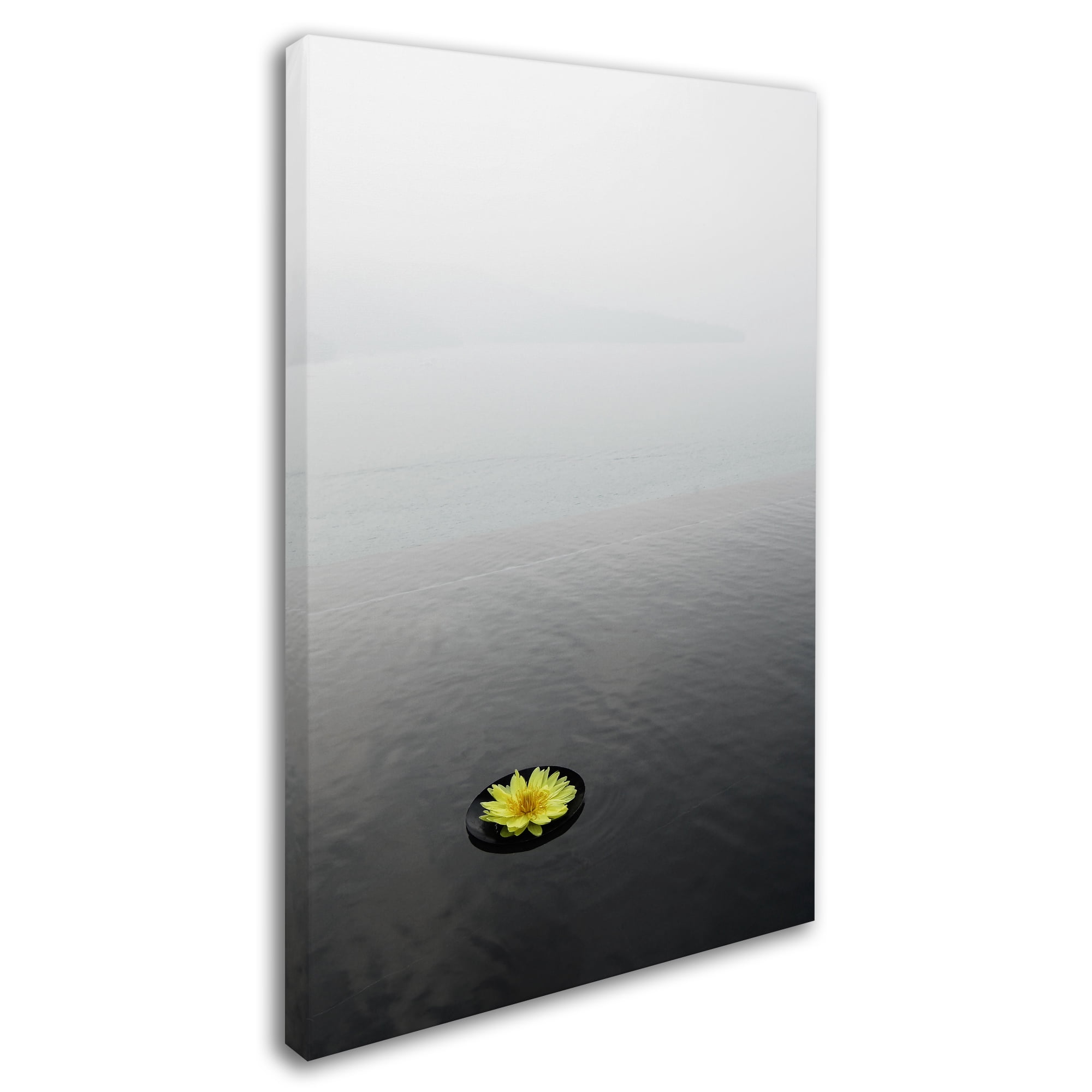 Trademark Fine Art "Zen 20x30 Reversed" Canvas Art by Kurt Shaffer