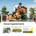 thumbnail image 3 of 4Pack Durvet Duramectin-Equine Wormer Paste -3 Tubes Exp July 2026-IN ST, NEW, 3 of 7