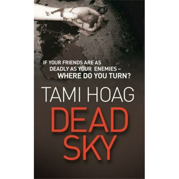 Pre-Owned Dead Sky (Paperback) 0752878131 9780752878133