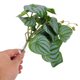thumbnail image 5 of TABLETREANDS 2Ud Artificiales Con Ventosa Para Terrario Y Acuario Natural Para Reptiles, 5 of 6