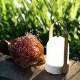 thumbnail image 2 of Tubicen LED Portable Table Lamp，4000mAh Rechargeable Battery Lamp with USB Port, 3-Levels Brightness Touch Dimmable Nightstand Lamp, Wireless Night Light for Indoor Outdoor, 2 of 8