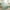 Sage Green, variant on King Comforter Set Emerald Green, 7 Pieces Bed in a Bag Bedding Comforter Set with Sheets, All Season Boho 7PC Bed Sets with Comforter, Fitted Sheets, Flat Sheets, Pillow Shams and Pillowcases