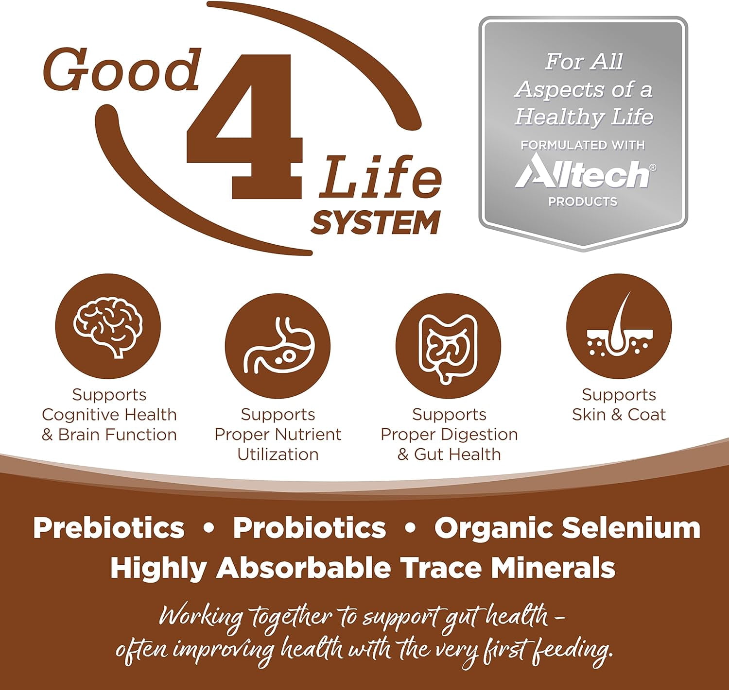 NutriSource Grain Free For All Life Stages Lamb Meal & Peas Recipe Dog Food 26 lb