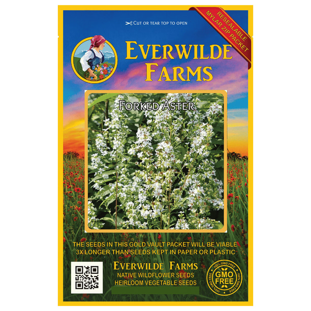 Everwilde Farms 300 Forked Aster Native Wildflower Seeds Gold Vault