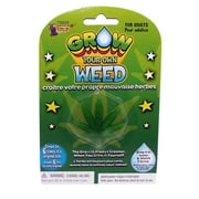 Grow Your Own Weed