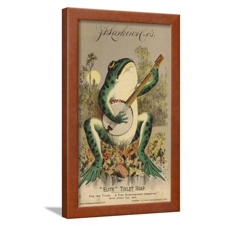 Frog Playing Banjo Framed Print Wall Art Walmart Com