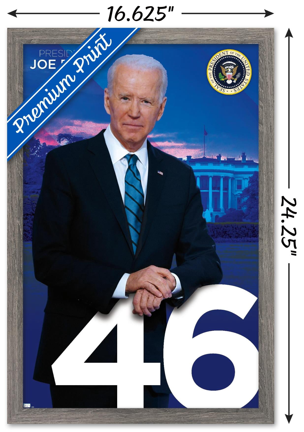 Trends International Joe Biden - President Wall Poster 16.5" x 24.25" x .75" Barnwood Framed Version