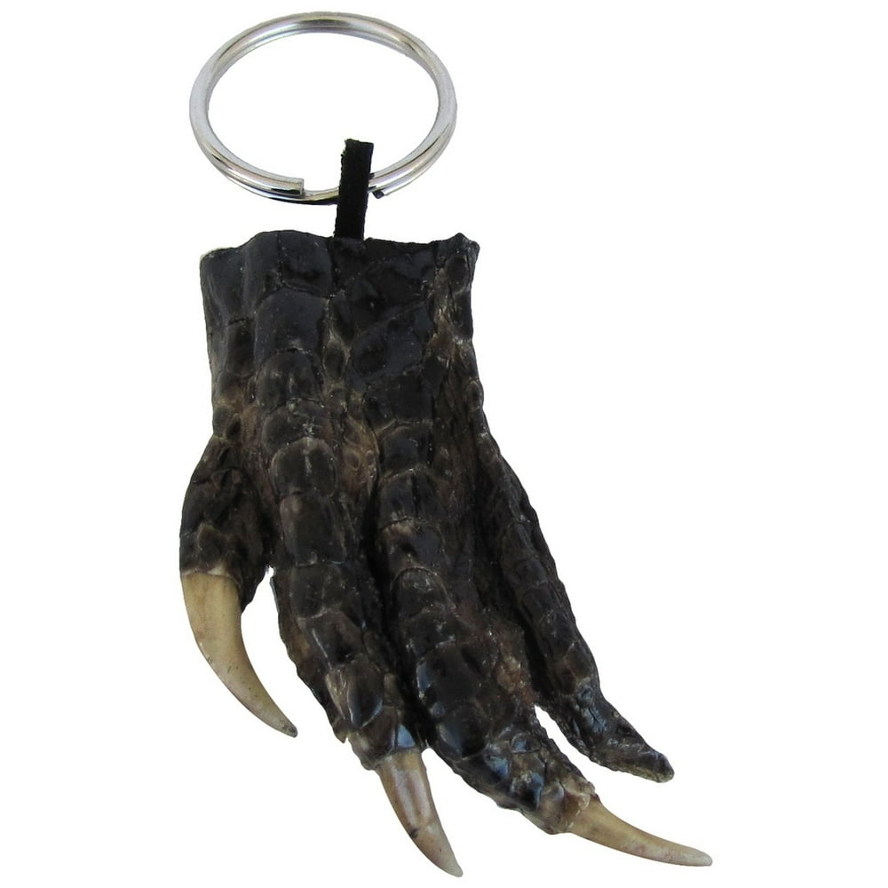TreasureGurus Authentic Real Taxidermy Alligator Foot Keychain Gator