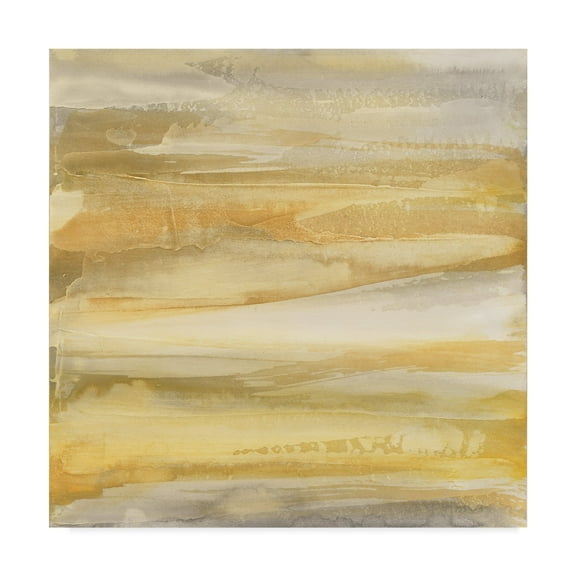 Trademark Fine Art 'Grey and Gold' Canvas Art by Chris Paschke