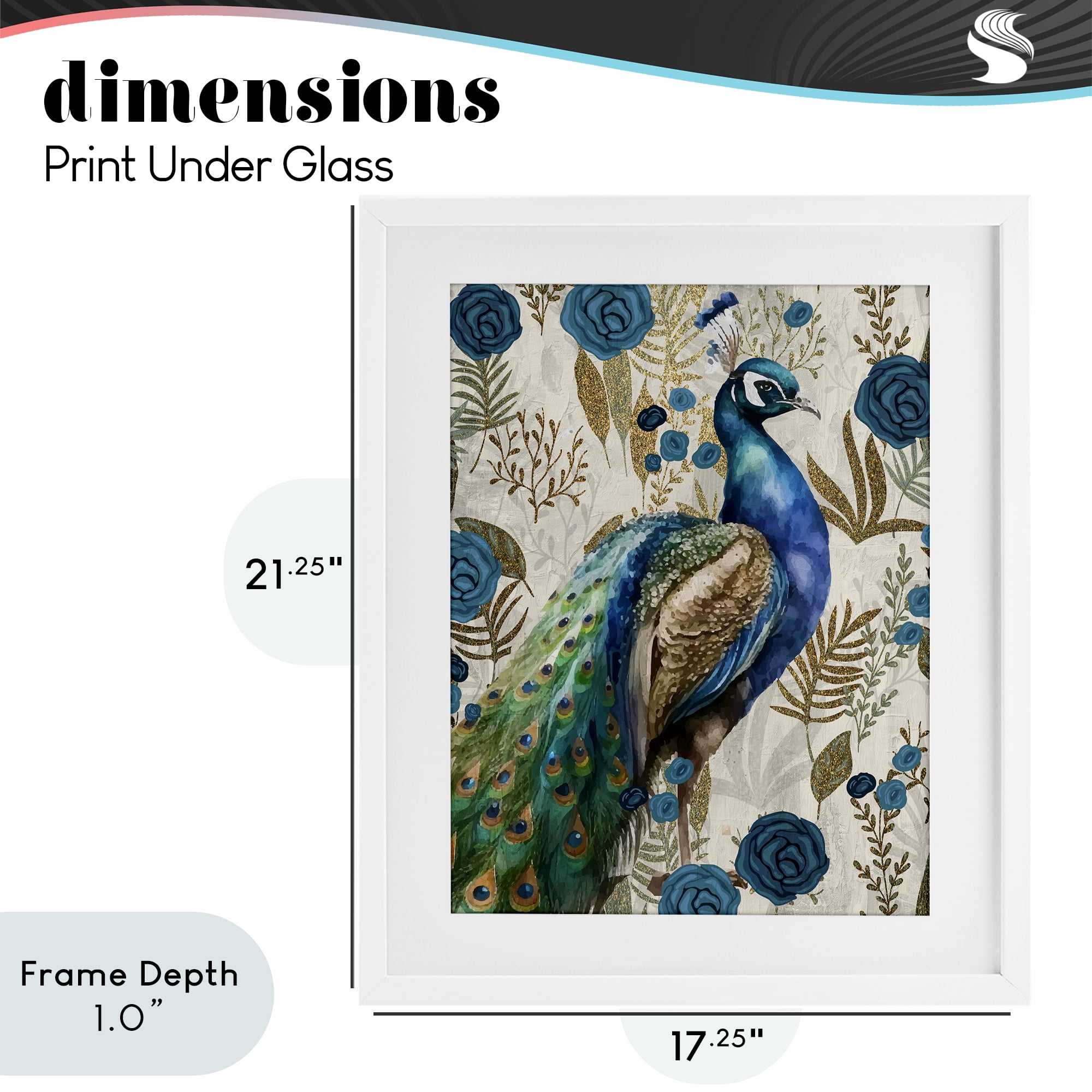 Stupell Industries Peacock Pride Botanicals White Framed Print Under Glass, design by Kim Allen