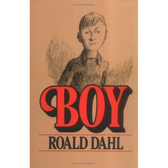 Pre-Owned Boy: Tales of Childhood (Hardcover) 0374373744 9780374373740