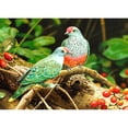 thumbnail image 1 of Pintura de diamante (DE4818) Animal 5D DIY Cuadro cuadrado Bordado (Pájaro) 30x40cm Hugtrwg Para estrenar, 1 of 1