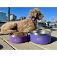 thumbnail image 2 of Black Rhino Dura-Bowl 64 Oz Purple | Double Insulated SS Food & Water Bowl, 2 of 7