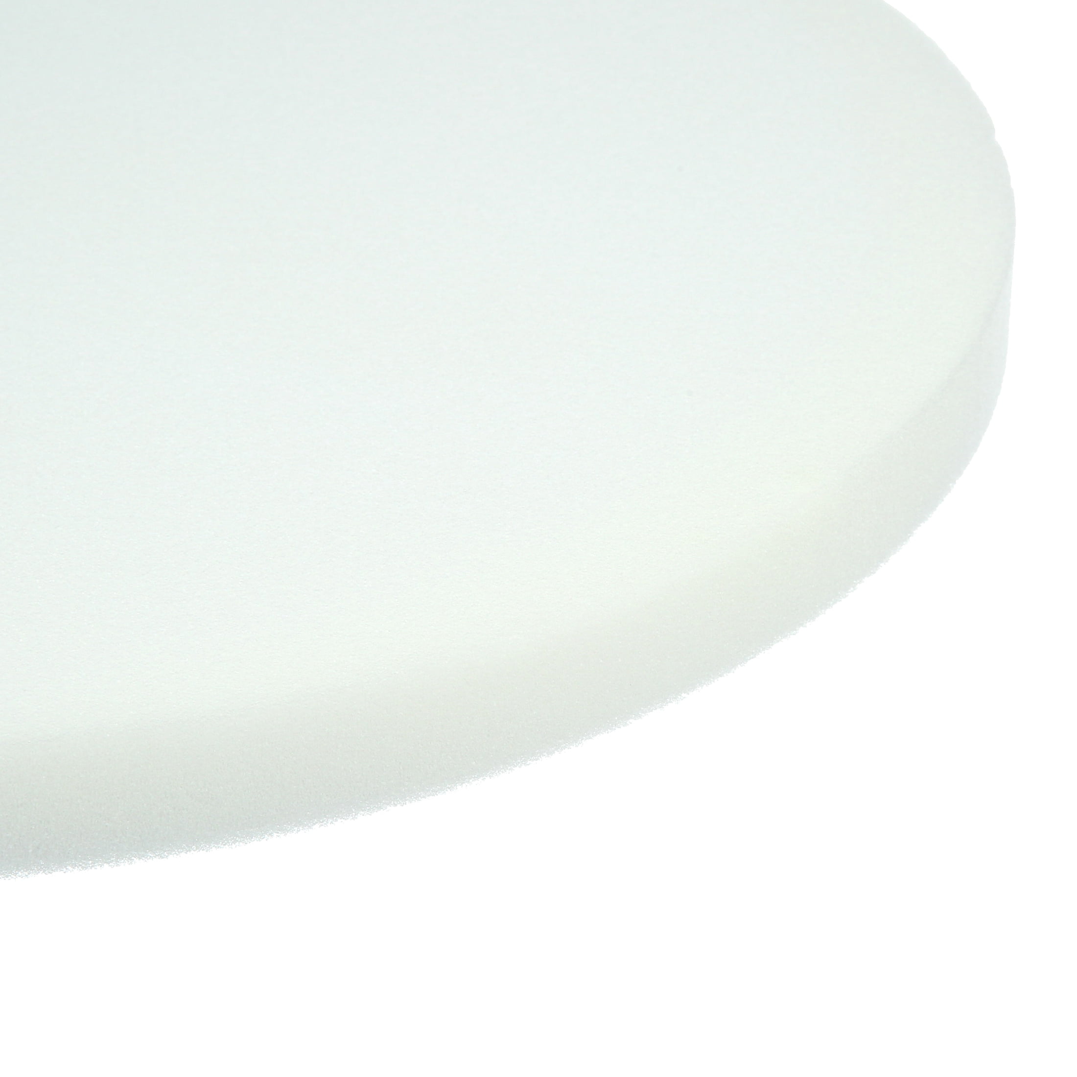 Morning Glory 16-in Round Foam Craft Cushion, Set of 4 White