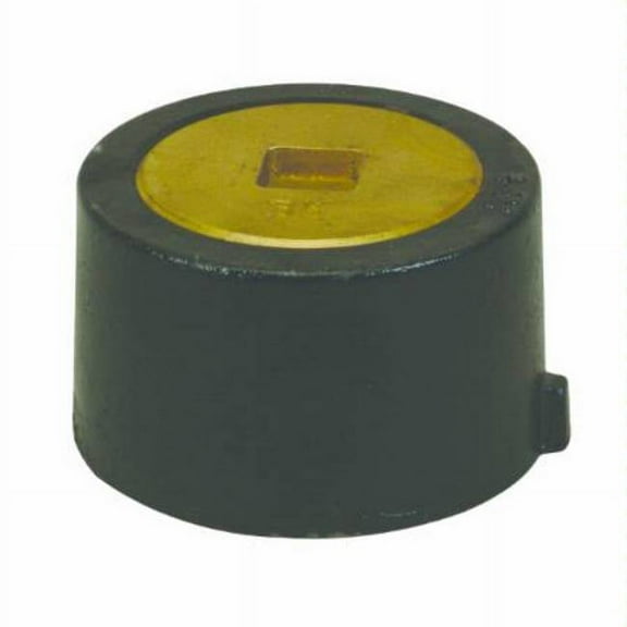 Proflo Pfpa4svcsk 4" Sv Push On Cleanout