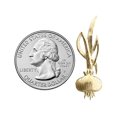 thumbnail image 3 of 14K Gold Onion Charm Slide, 3 of 5