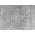 thumbnail image 1 of Ahgly Company Indoor Rectangle Persian Gray Traditional Area Rugs, 4' x 6', 1 of 1