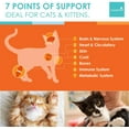 thumbnail image 2 of Cat Vitamins - Spectrin 16 OZ - Liquid Vitamin & Antioxidant Supplement for Cats - 96 doses, 2 of 5
