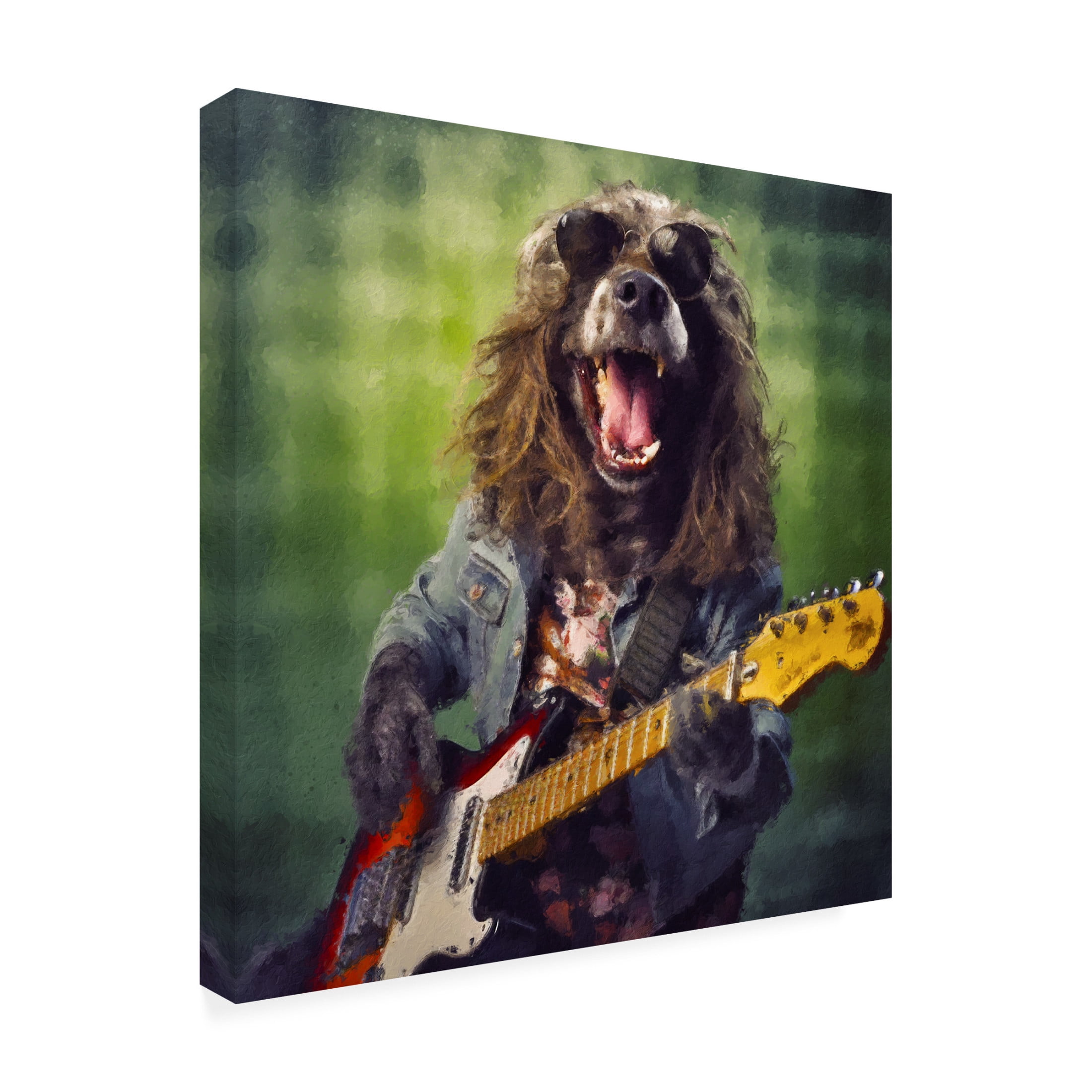 Canvas Wall Art - Sean Parnell 'Mutt Halen' Wall Art for Living Room, Bedroom, or Office Décor by Trademark Fine Art - 24 x 24 Inches