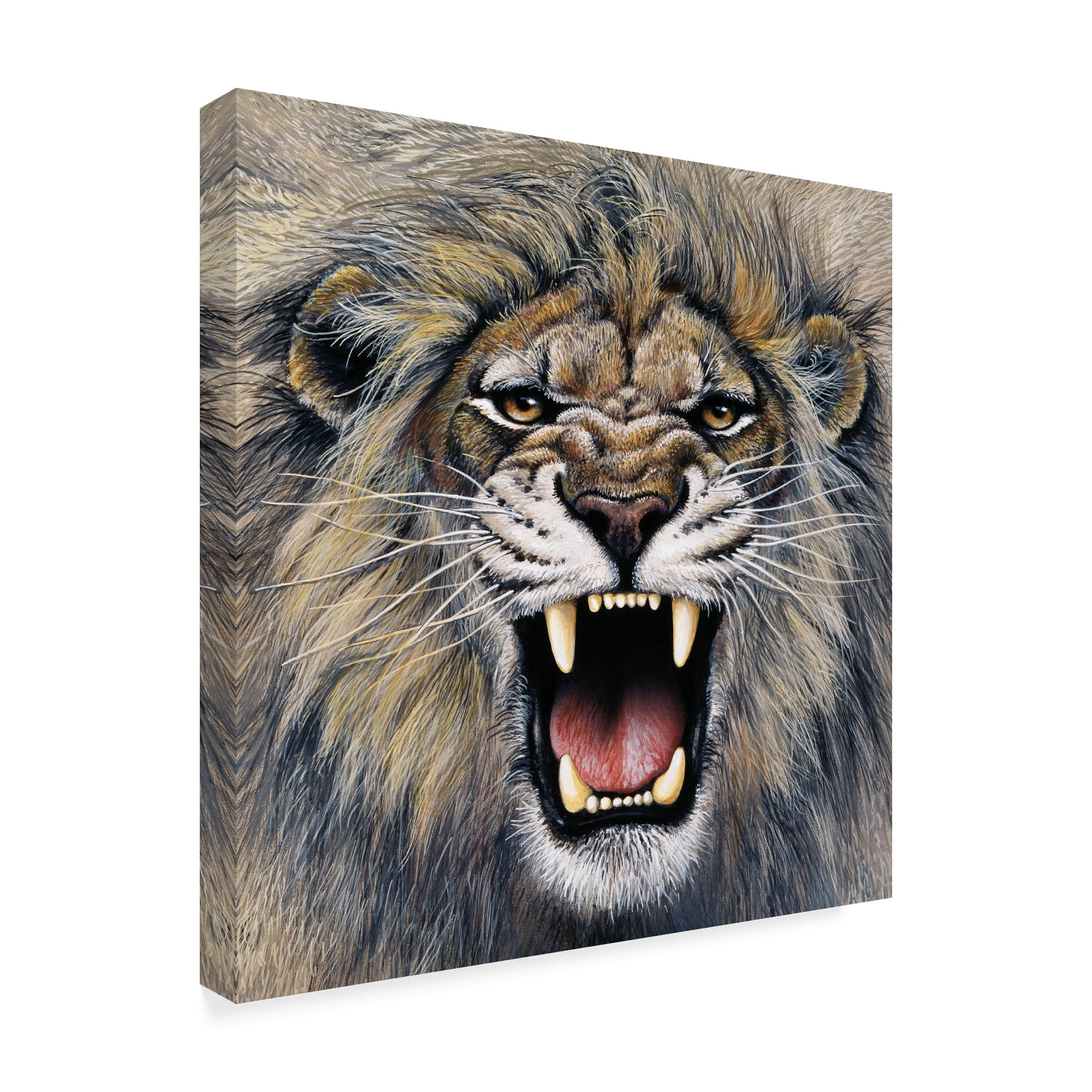 Trademark Fine Art 'Lion Roaring' Canvas Art by Harro Maass