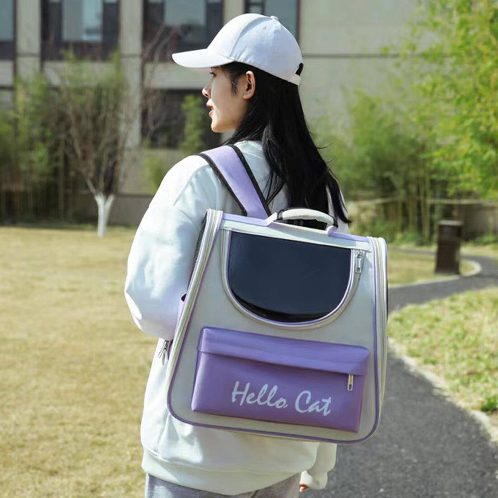 1 Pcs Pet Cat Carrier Bag Portable Breathable Large-capacity Backpack Outdoor Travel TransparentDouble Shoulder Bag Pet Supplies