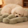 thumbnail image 2 of Pet Mat, Ultra Soft Plush Fuzzy, 1 Piece Bubble Texture Light Sage Cozy Pad, Warm Comfortable Sleeping Cushion for Dogs Cats Small Medium Pets Indoor Couch Floor Crate Bed Rest Use, 2 of 6