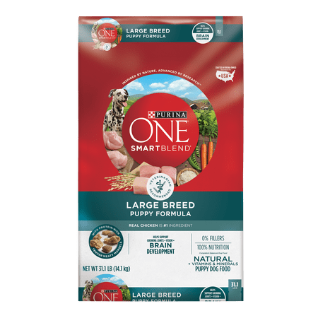 Purina ONE SmartBlend Large Breed Adult Formula Adult Premium Dog Food 31.1 lb. Bag
