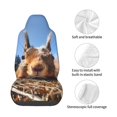 thumbnail image 4 of Wukai Close-Up Curious Squirrel Full Set Car Seat Covers with Soft Padding Universal Auto Front Seats Protector and Cushion Mat, 4 of 5