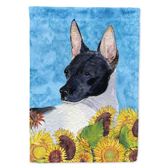 Carolines Treasures SS4113-FLAG-PARENT Rat Terrier Flag multicolor