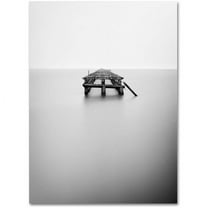 Trademark Fine Art "Infinite Jest" Canvas Wall Art by Geoffrey Ansel Agrons