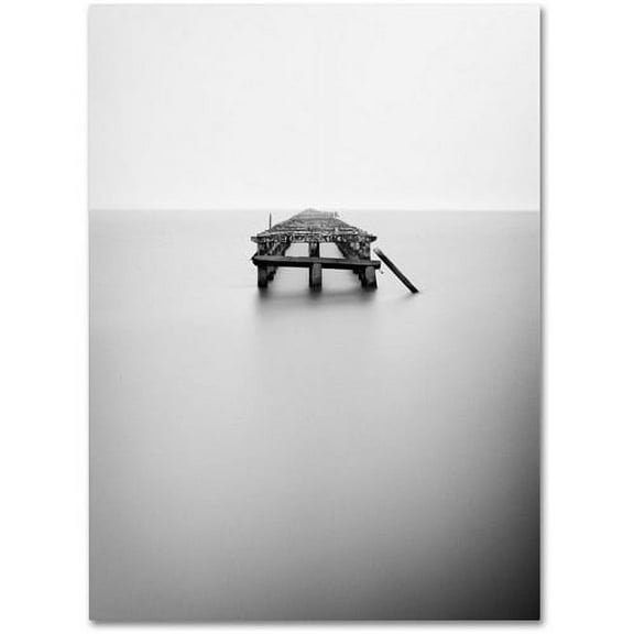 Trademark Fine Art "Infinite Jest" Canvas Wall Art by Geoffrey Ansel Agrons