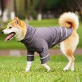 thumbnail image 1 of CBFFDC Quick Drying Pet T-shirt Pet T shirt Soft Breathable Reflective Strip Comfortable Quick Drying Protection Polyester Sports Dog T shirt with Hat Outdoor, 1 of 6