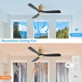 thumbnail image 3 of Sofucor 52" Low Profile Ceiling Fan with Remote, 3 Blades and Reverse Airflow,6 Wind Speed, 3 of 9