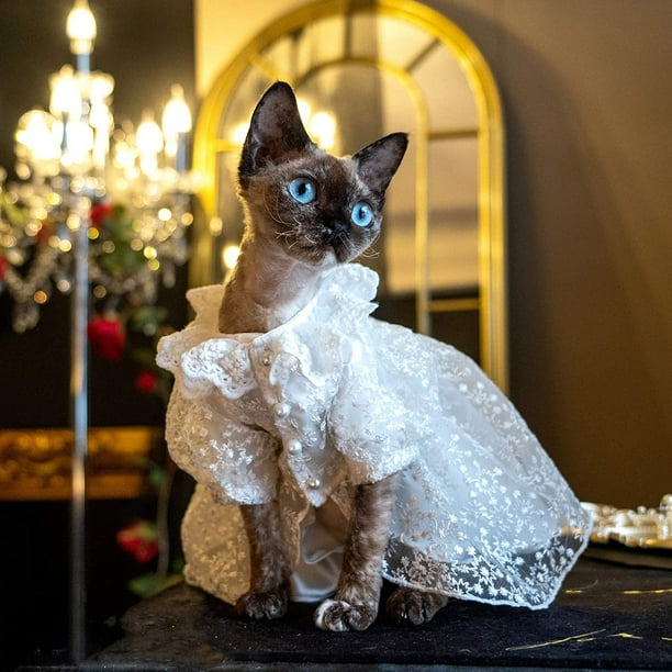 ATTOE V tements de chat sans poils robe de soir e D ner Jupon de mariage blanc pour Sphynx Cornish Rex Devon Rex Peterbald et diff rentes tailles