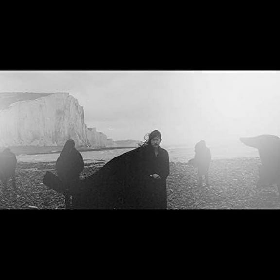 Dog in the Snow - Vanishing Lands - Music & Performance - Vinyl