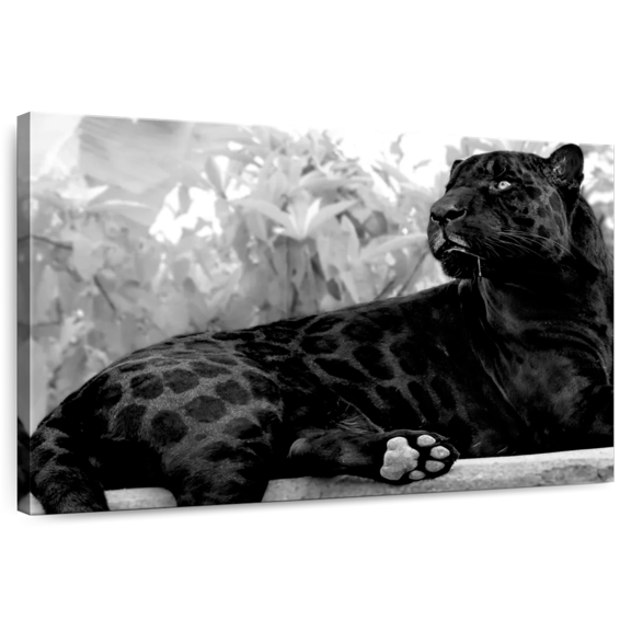 Elephant Stock Black Panther Monochrome Wall Art - Horizontal Canvas Wall Art - Living Room Wall Decor - Animal Canvas - Black And Gray Decor - 12" x 8"