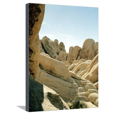 Stones, Joshua Tree National Park in southern california Stretched Canvas Print Wall Art By (Best Apple Trees For Southern California)