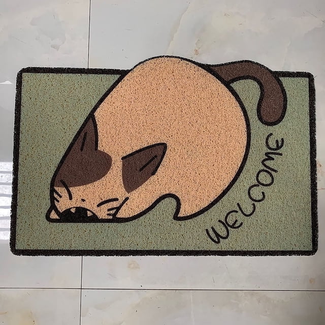 Alfombra de piso de seda absorbente para entrada | Respaldo antideslizante de PVC | Alfombra recortable para entrada de casa, pasillo exterior, vestíbulo | 40x25 cm | 1 pieza | Alfombra duradera y