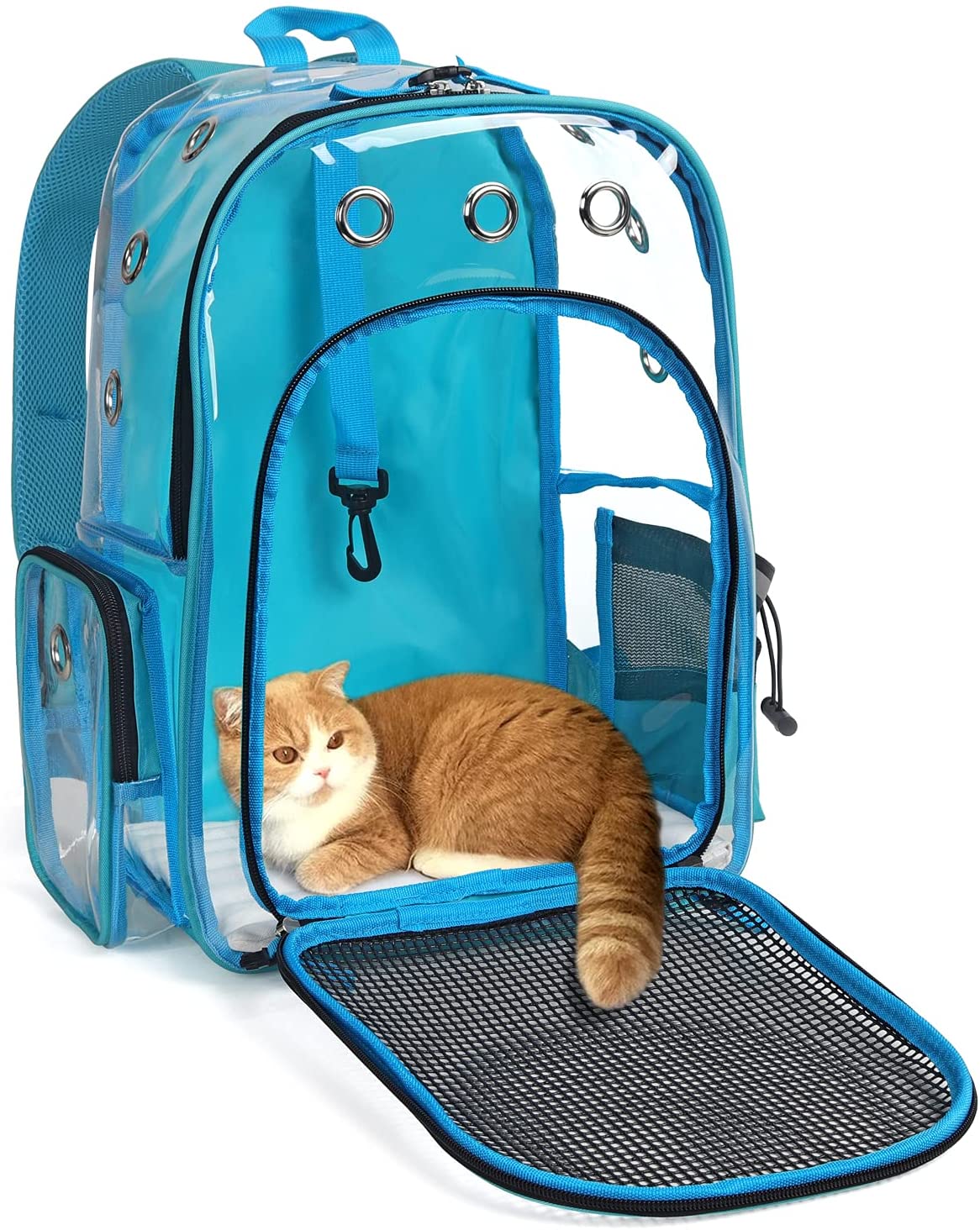 clear cat backpack carrier