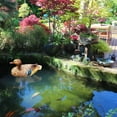 thumbnail image 4 of Used In Garden Hunting Bait Garden Decoration Mandarin DuckS, 4 of 6