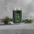 thumbnail image 3 of Yankee Candle Balsam & Cedar - Large 2-Wick Tumbler Candle, 3 of 6