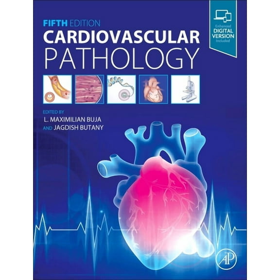 Cardiovascular Pathology, (Hardcover)